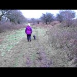 Hearing Dogs for Deaf People – Jamie Came to Stay
