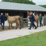 The Poitous arriving