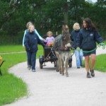A cart ride with Pip