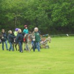 The riding display