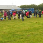 A family dog show class