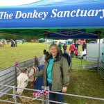 Ivybridge Donkey Sanctuary Summer Fair 2012