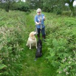 Chester & Henry doing as they are told