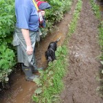 In the mud coming back from the moors