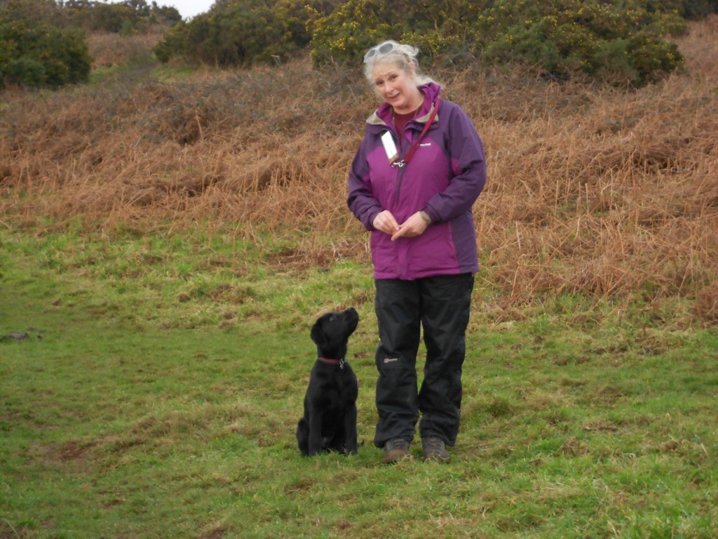 Hearing Dogs for Deaf People - Jamie Came to Stay