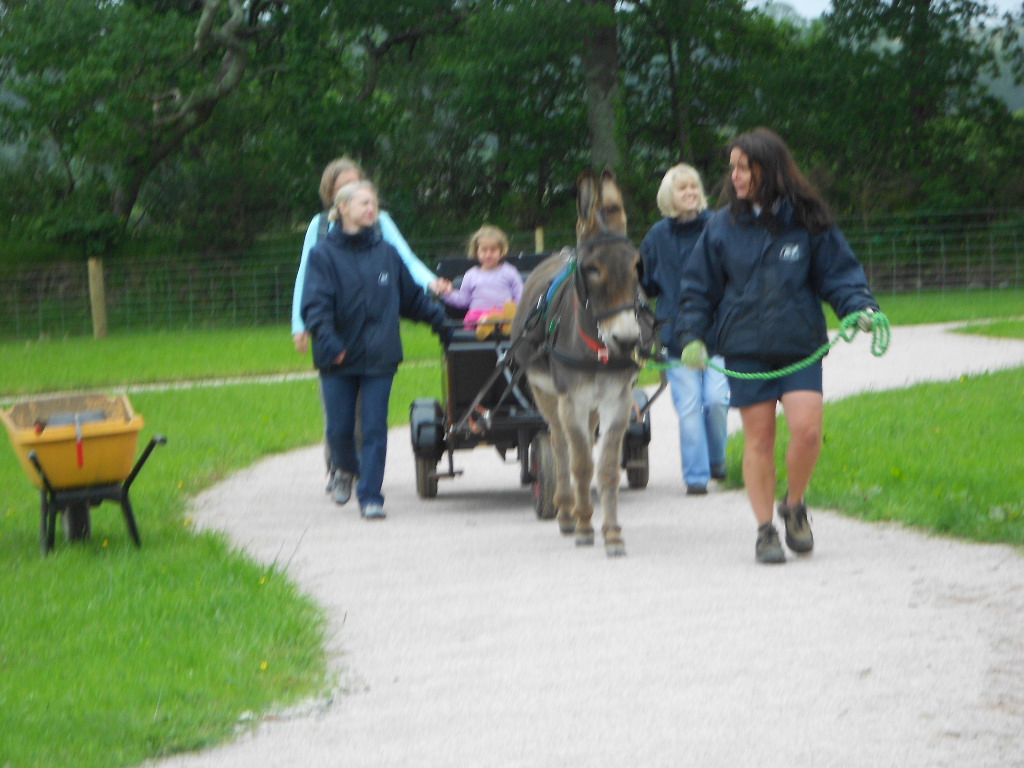 Ivybridge Donkey Sanctuary Summer Fair 2012