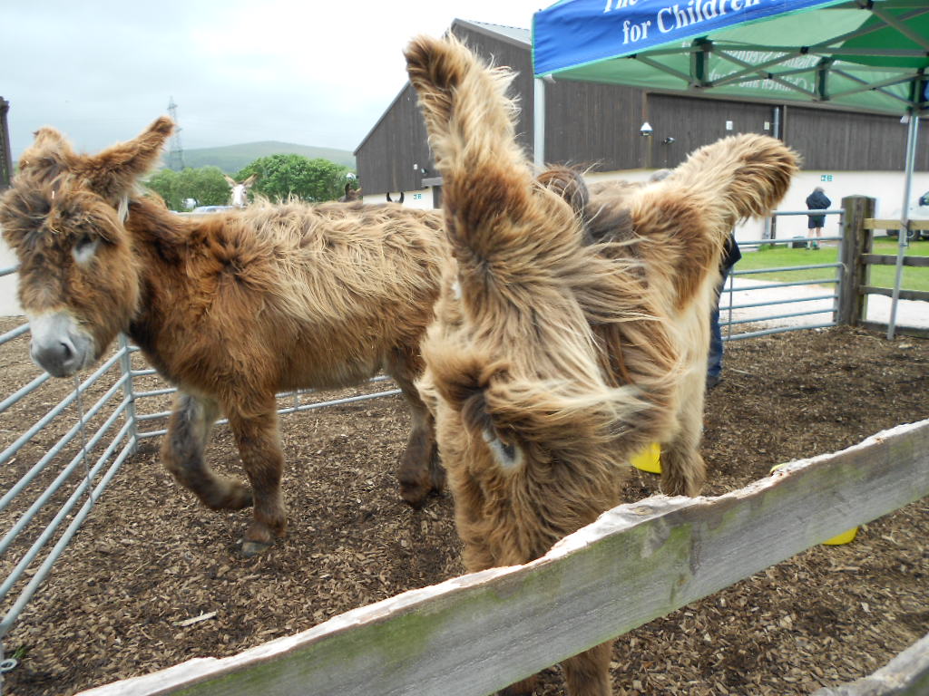 Where's the hairspray?