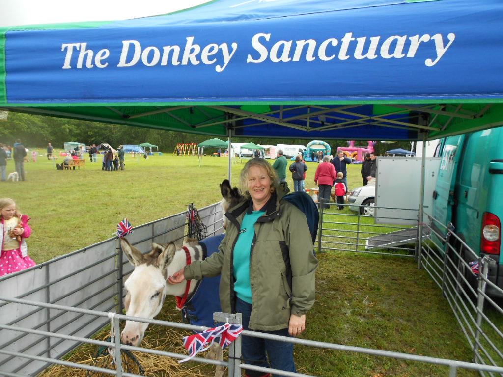 Ivybridge Donkey Sanctuary Summer Fair 2012