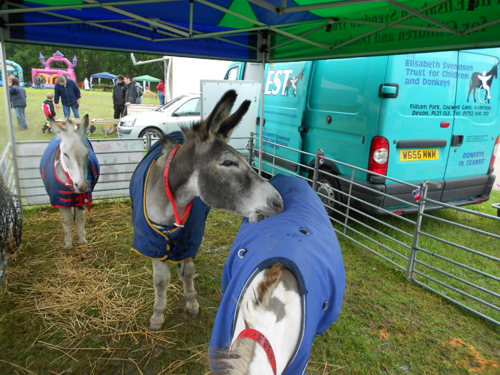 Ivybridge Donkey Sanctuary Summer Fair 2012