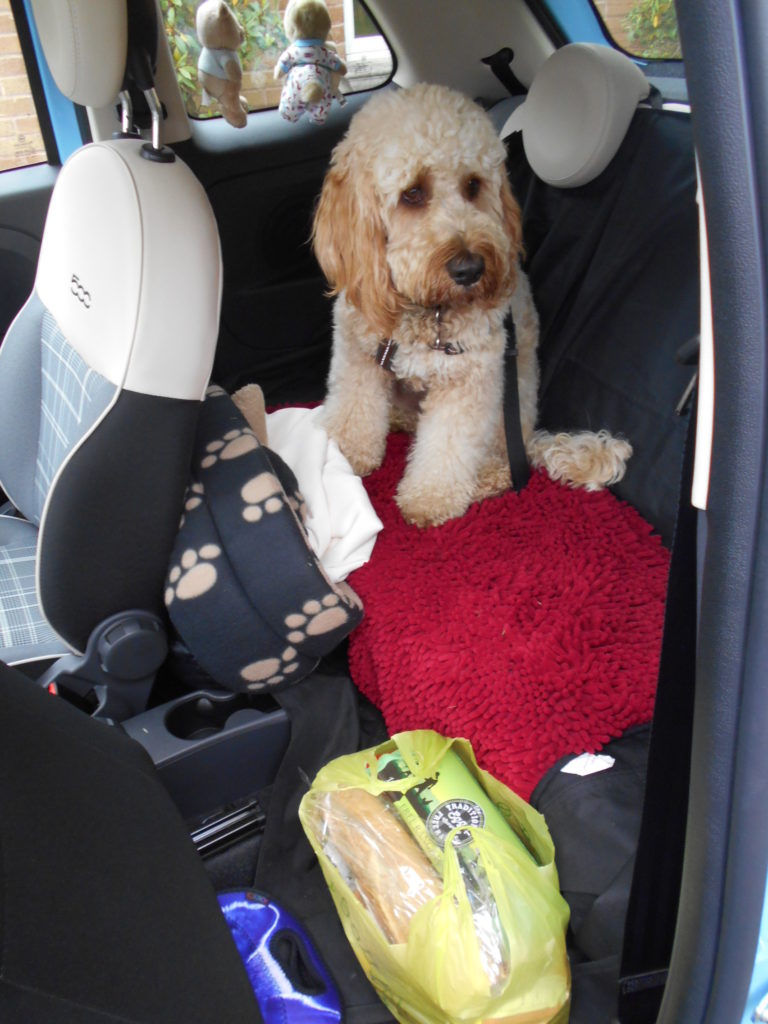 My Fiat 500 Packed For Holiday