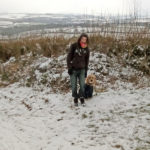 Archie the Clumberdoodle on Henlake Down Ivybridge in the Snow