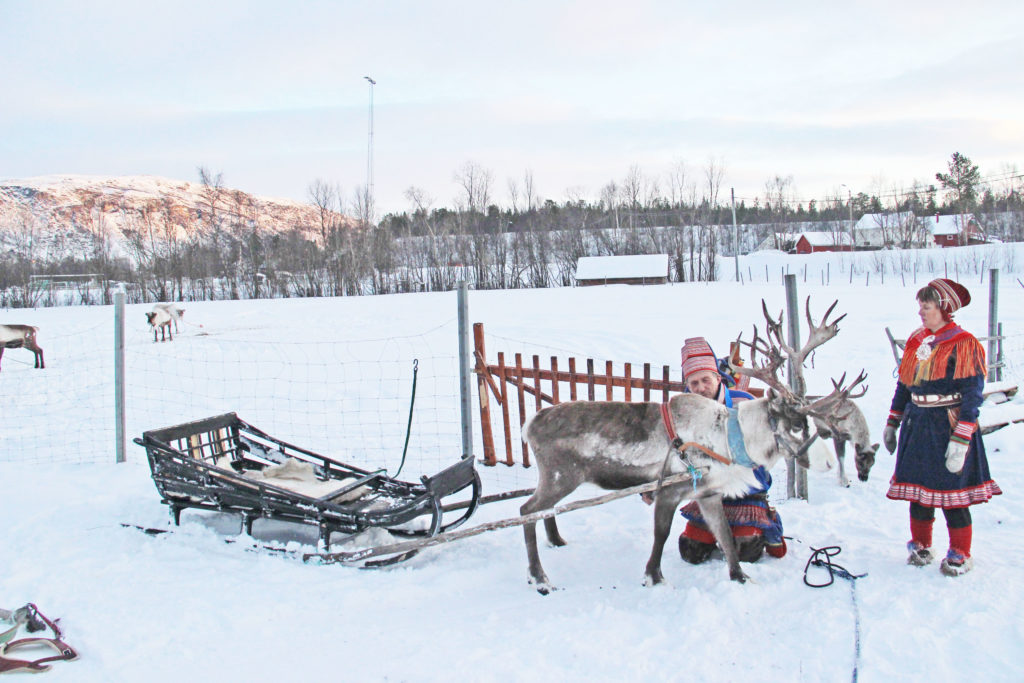 Norway And The Northern Lights P & O Cruise In 2017