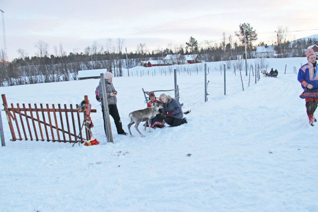 Norway And The Northern Lights P & O Cruise In 2017