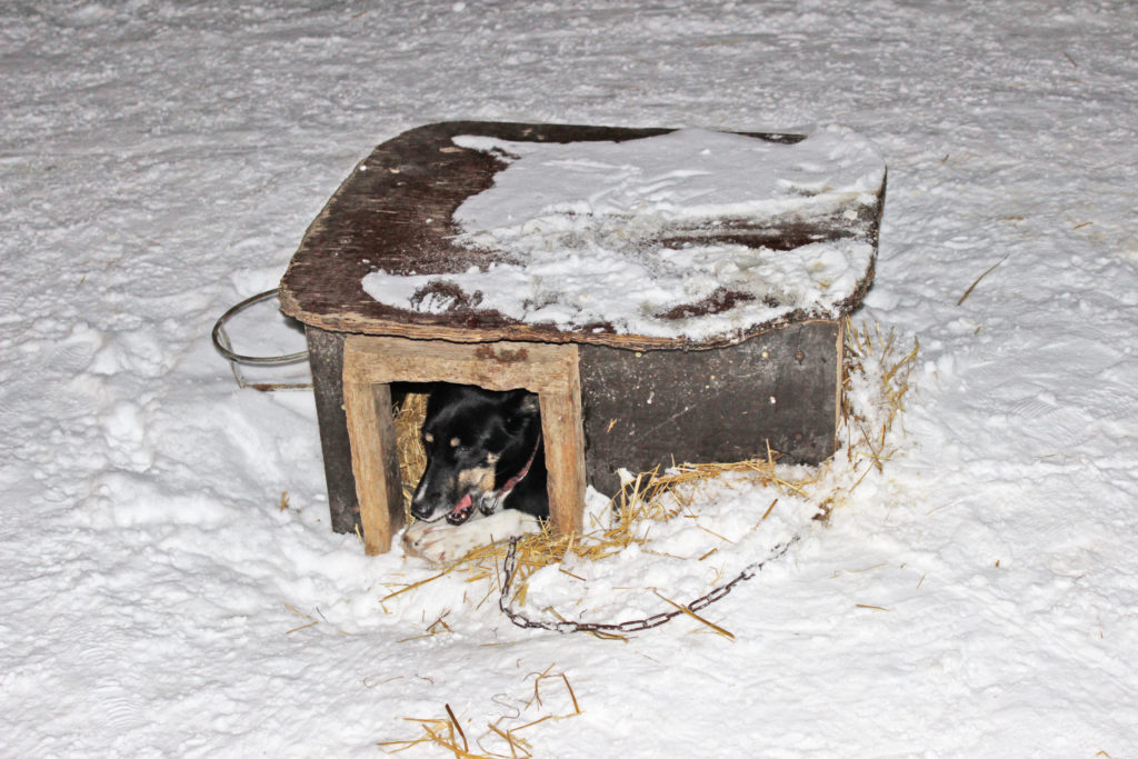 Norway And The Northern Lights P & O Cruise In 2017