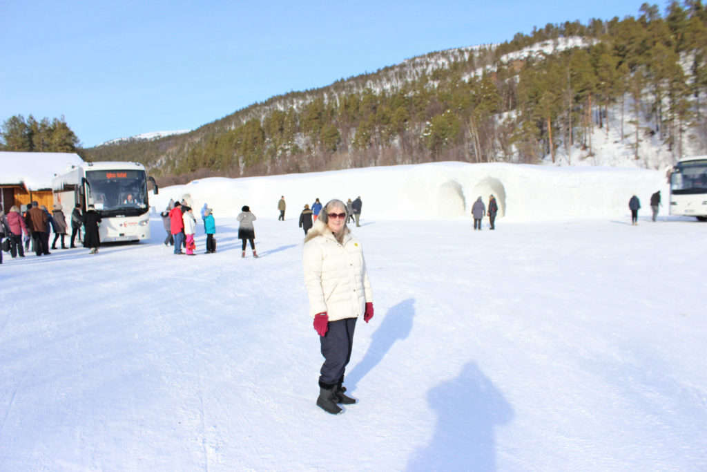 Norway And The Northern Lights P & O Cruise In 2017