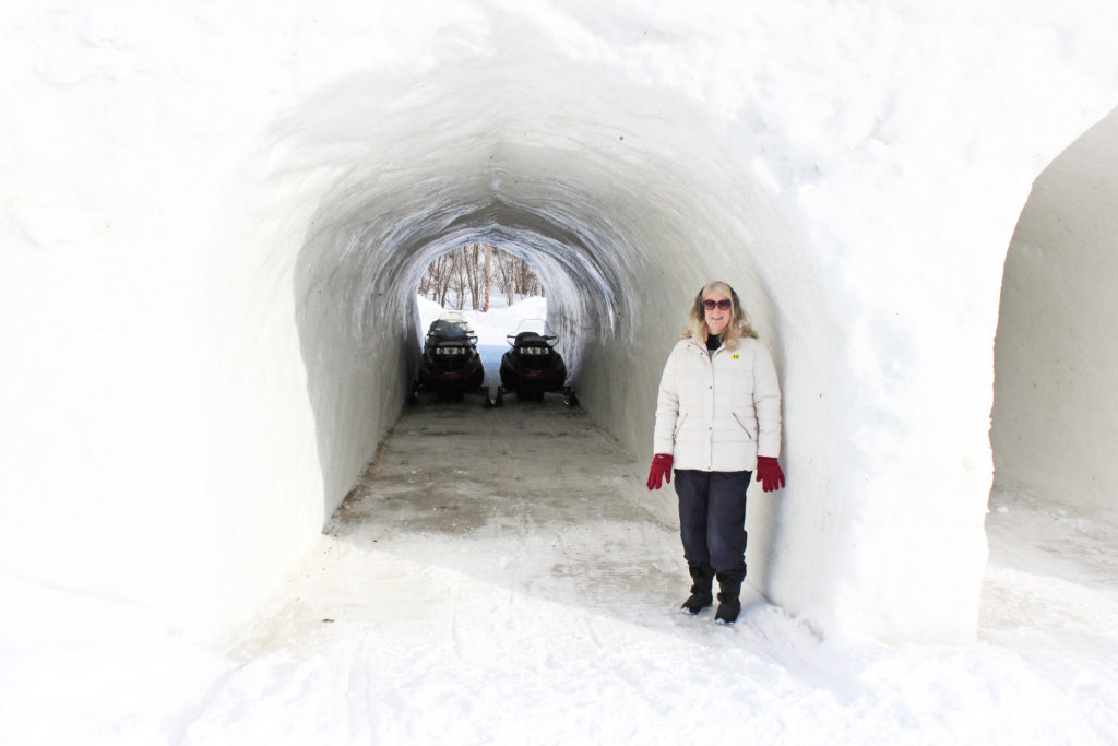 Norway And The Northern Lights P & O Cruise In 2017