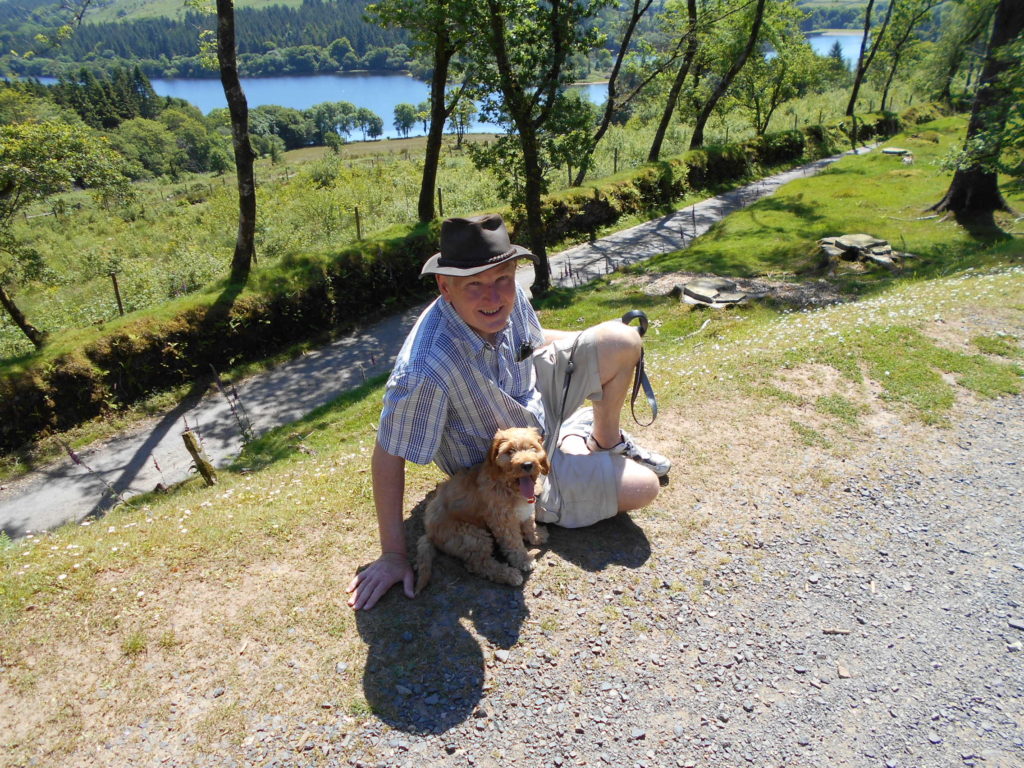 Clumberdoodle Archie and His Second Week