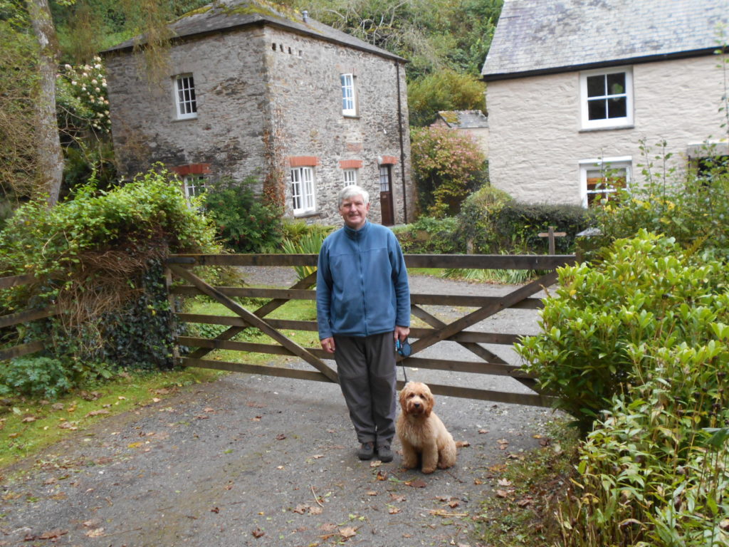 Archie the Clumberdoodle at Pont Creek Cottage Cornwall