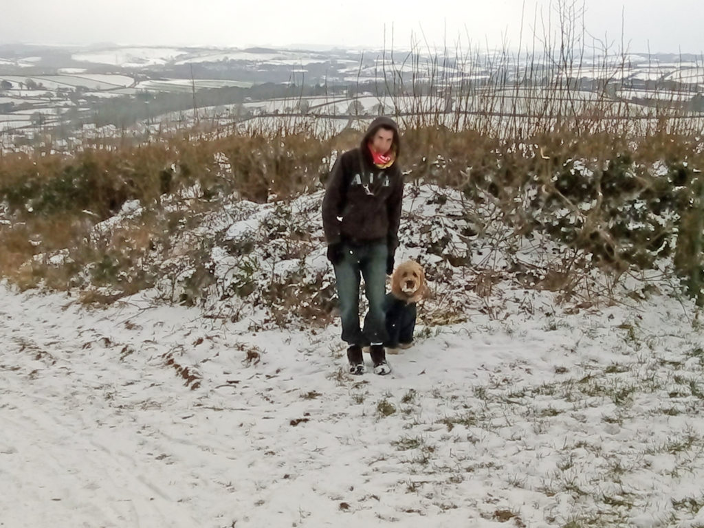 Archie the Clumberdoodle in the Snow