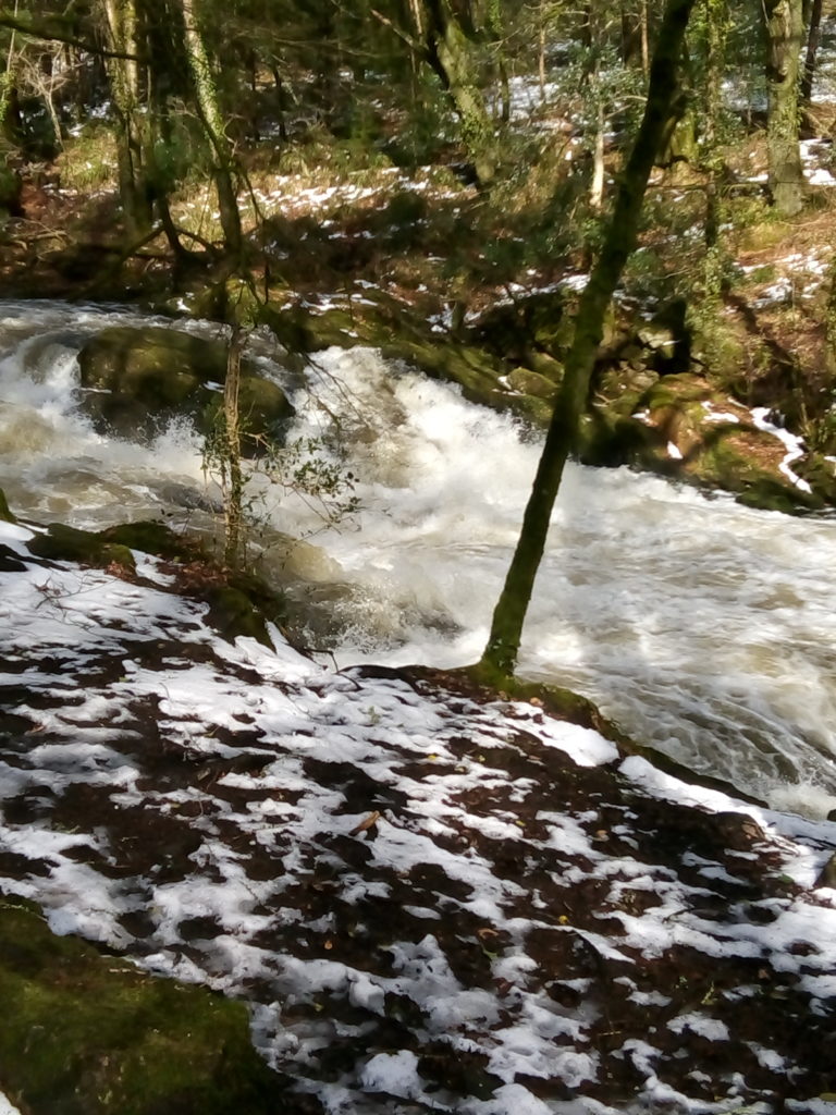 The raging River Erme in Longtimber Woods in the Snow