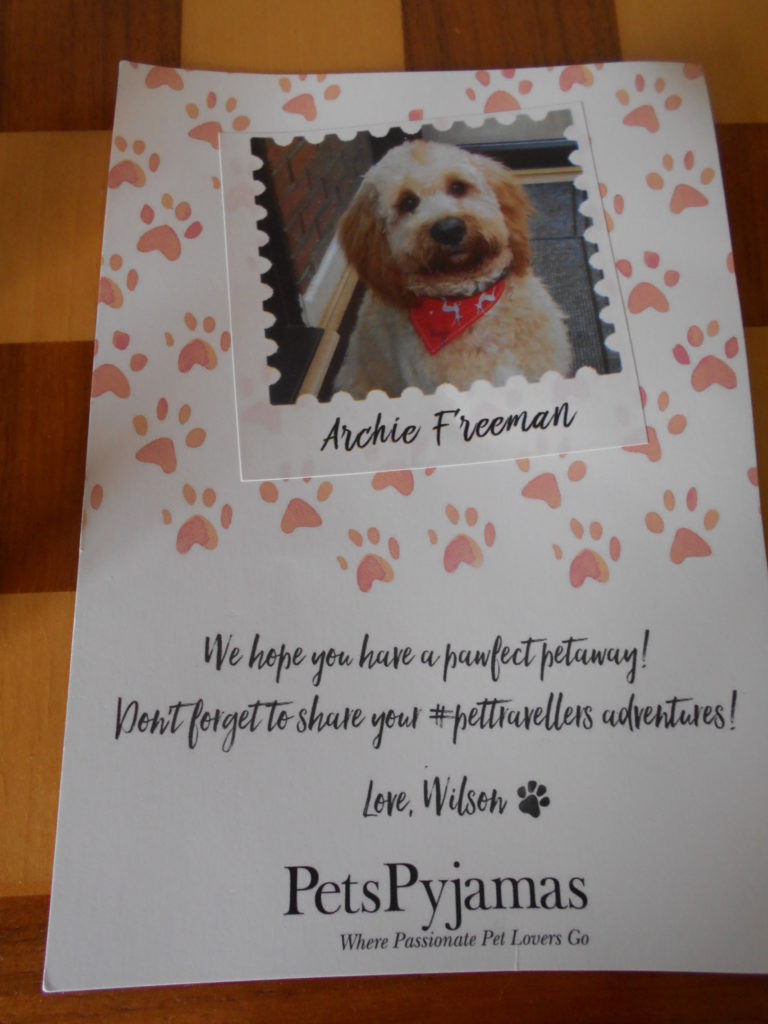 Clumberdoodle Archie with his Goody Bag from Pets Pyjamas