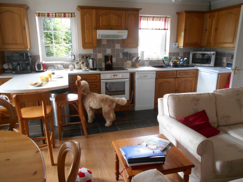 Hampshire Holiday With Archie Our Clumberdoodle June 2018