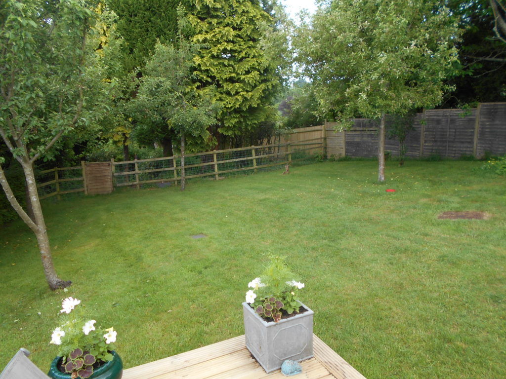 Hampshire Holiday With Archie Our Clumberdoodle June 2018