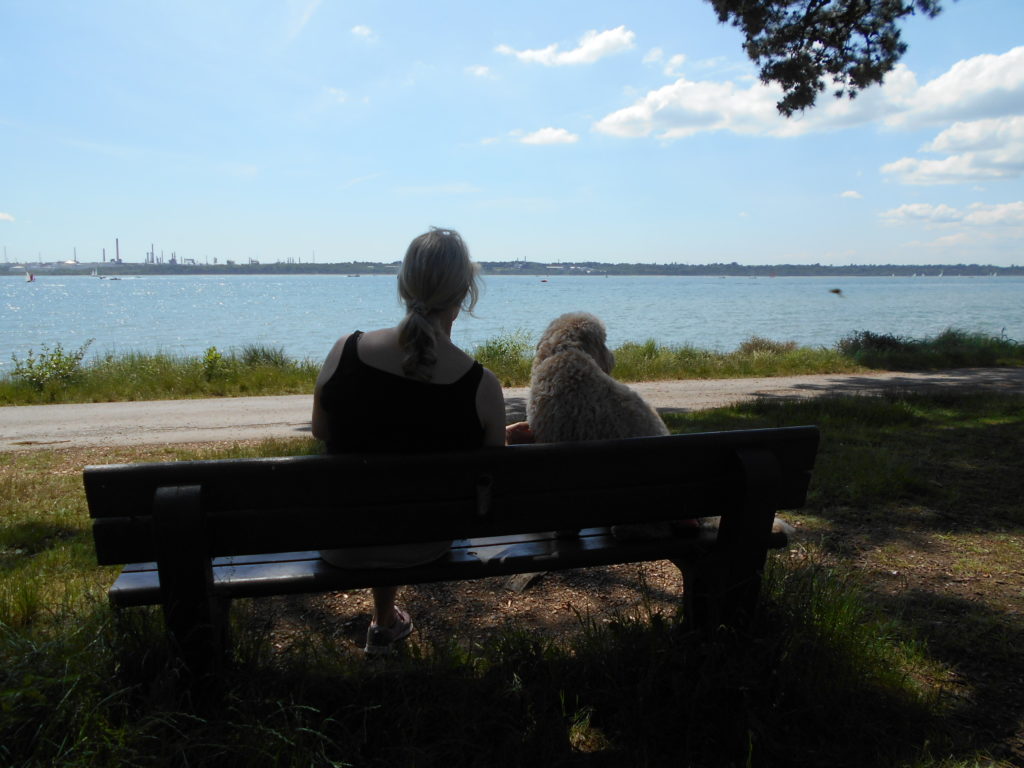Hampshire Holiday With Archie Our Clumberdoodle June 2018