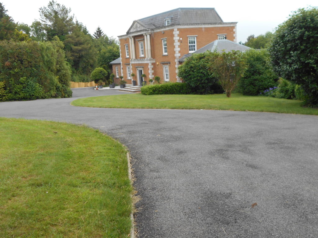 Hampshire Holiday With Archie Our Clumberdoodle June 2018