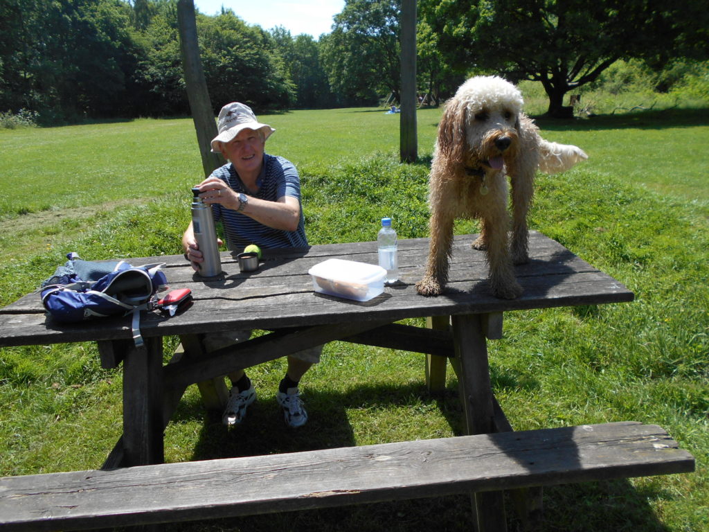 Hampshire Holiday With Archie Our Clumberdoodle June 2018