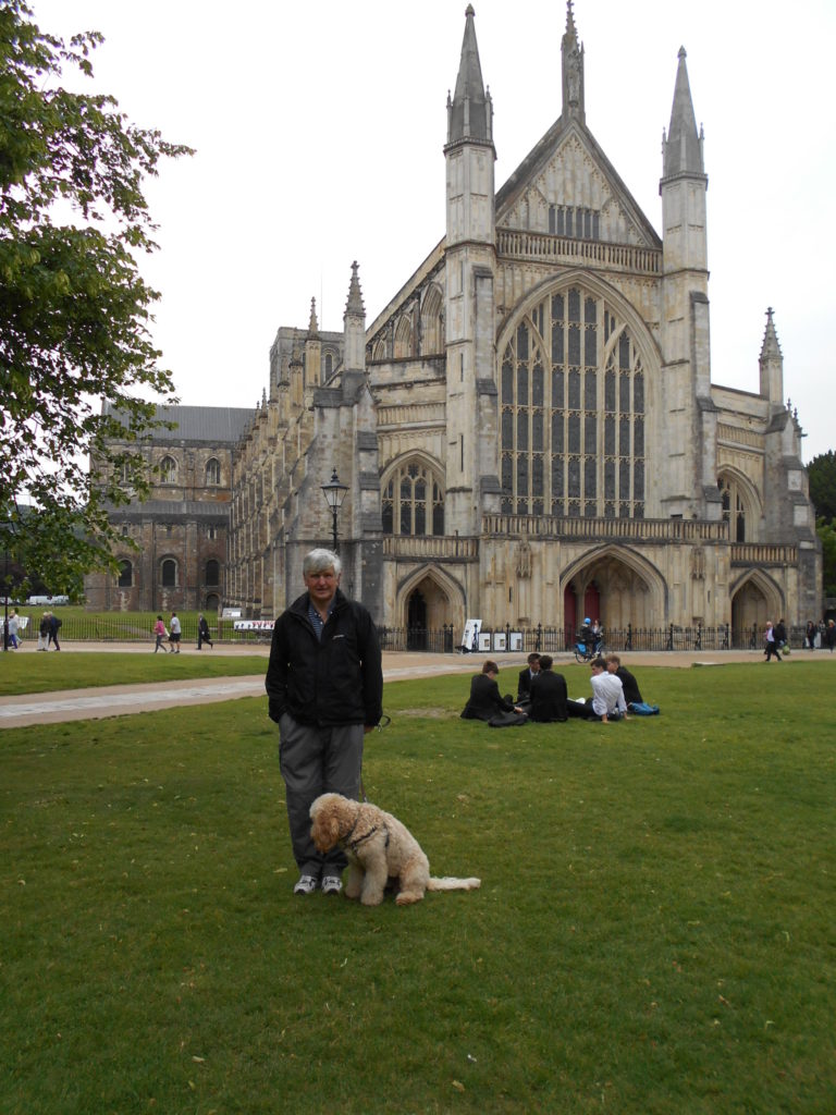 Archie the Clumberdoodle at Winchester Cathedral