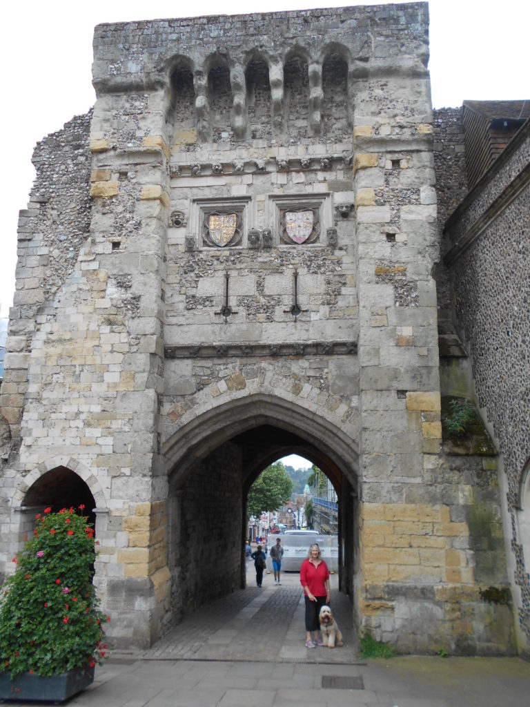 Archie the Clumberdoodle at the West Gate Winchester