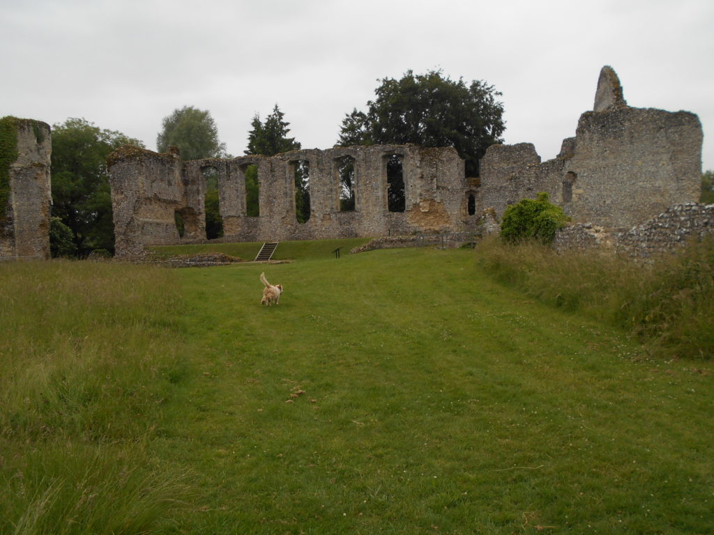 Hampshire Holiday With Archie Our Clumberdoodle June 2018