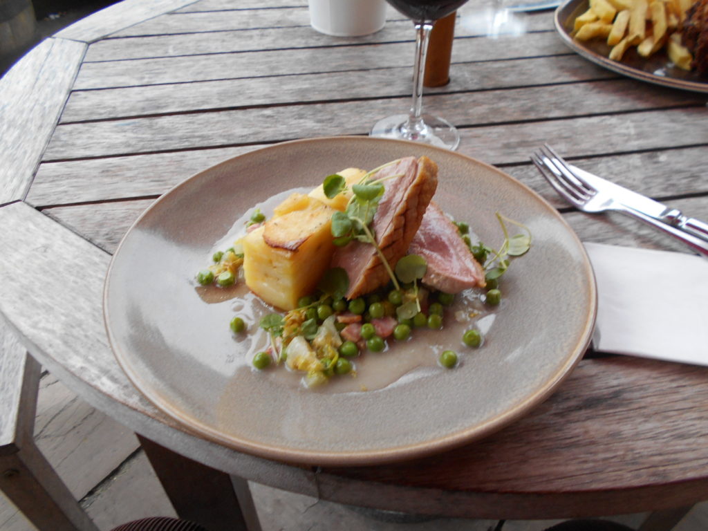 Hampshire Holiday With Archie Our Clumberdoodle June 2018