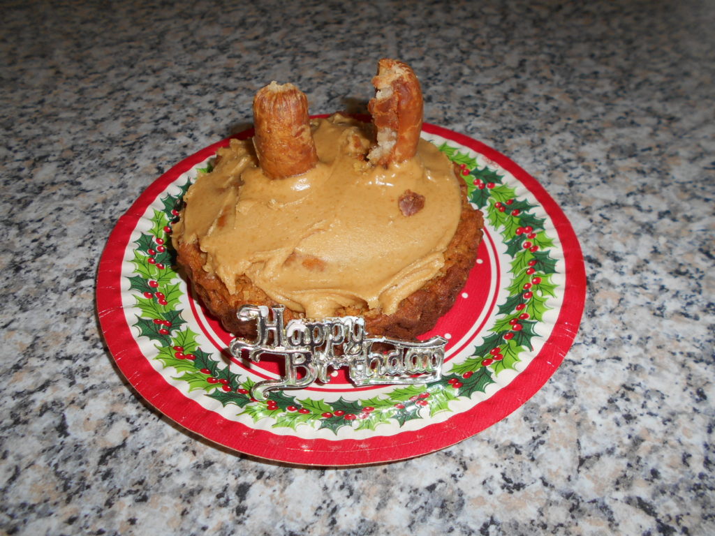 Clumberdoodle Archie's 2nd Birthday April 2019