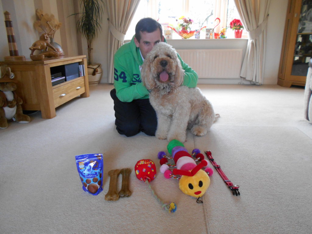 Clumberdoodle Archie's 2nd Birthday April 2019