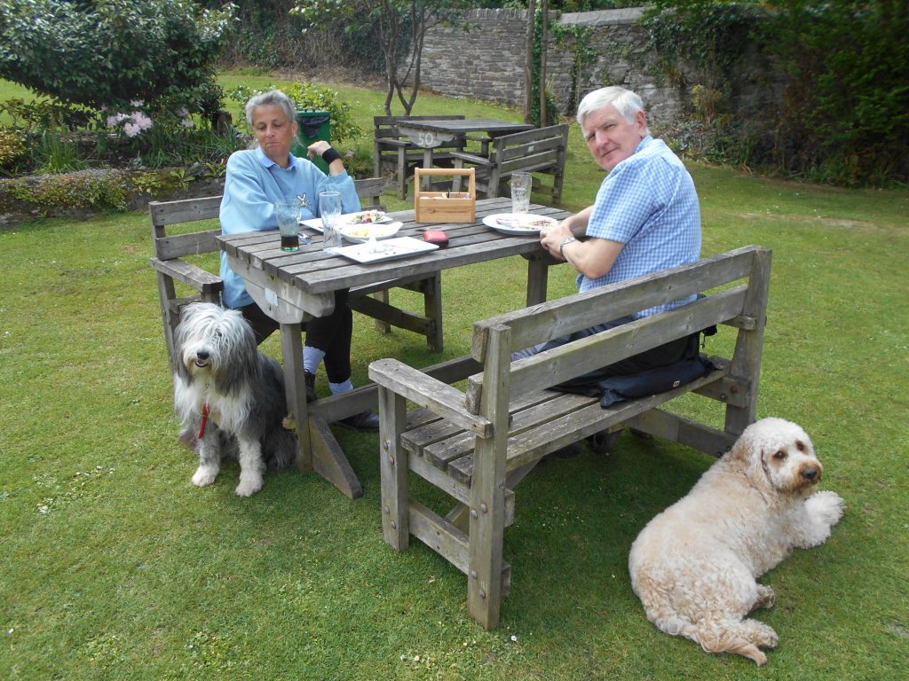 Archie the Clumberdoodle and Aggie - a holiday romance