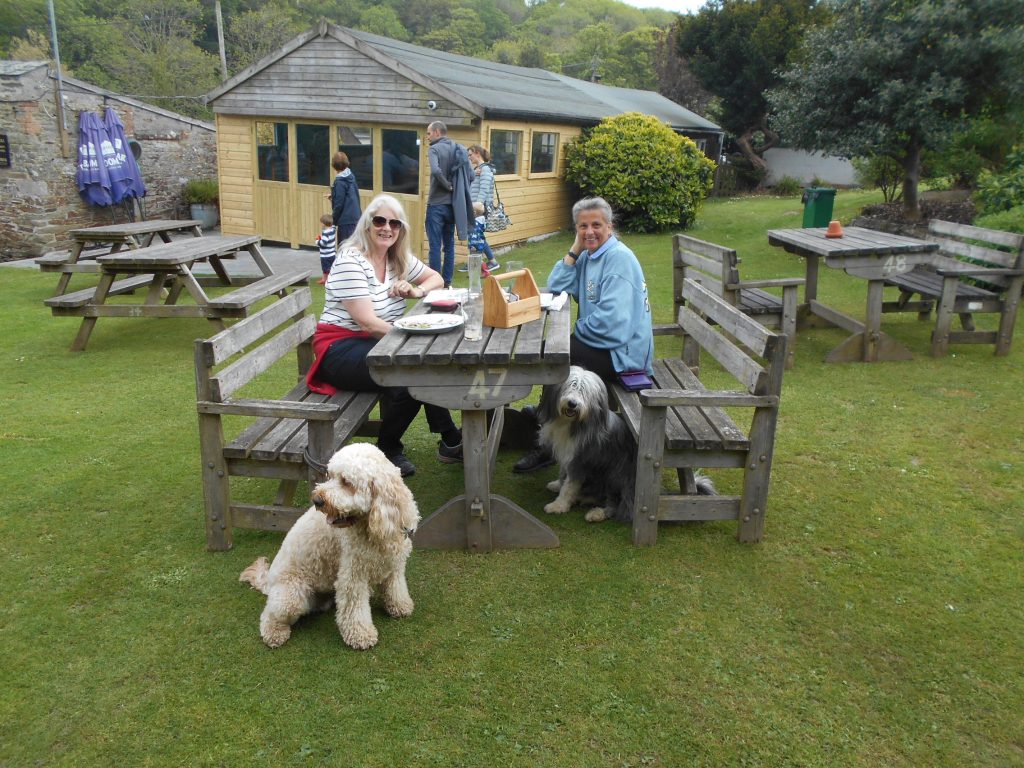 Archie the Clumberdoodle and Aggie enjoying lunch at The Falcon Inn