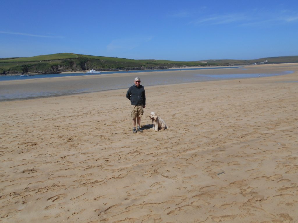 Clumberdoodle Archie on Rock beach
