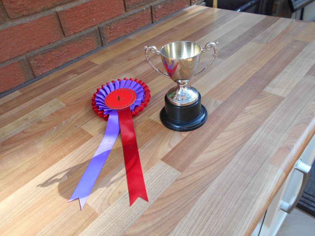 Clumberdoodle Archie's Rosette and Cup for Best Brossbreed