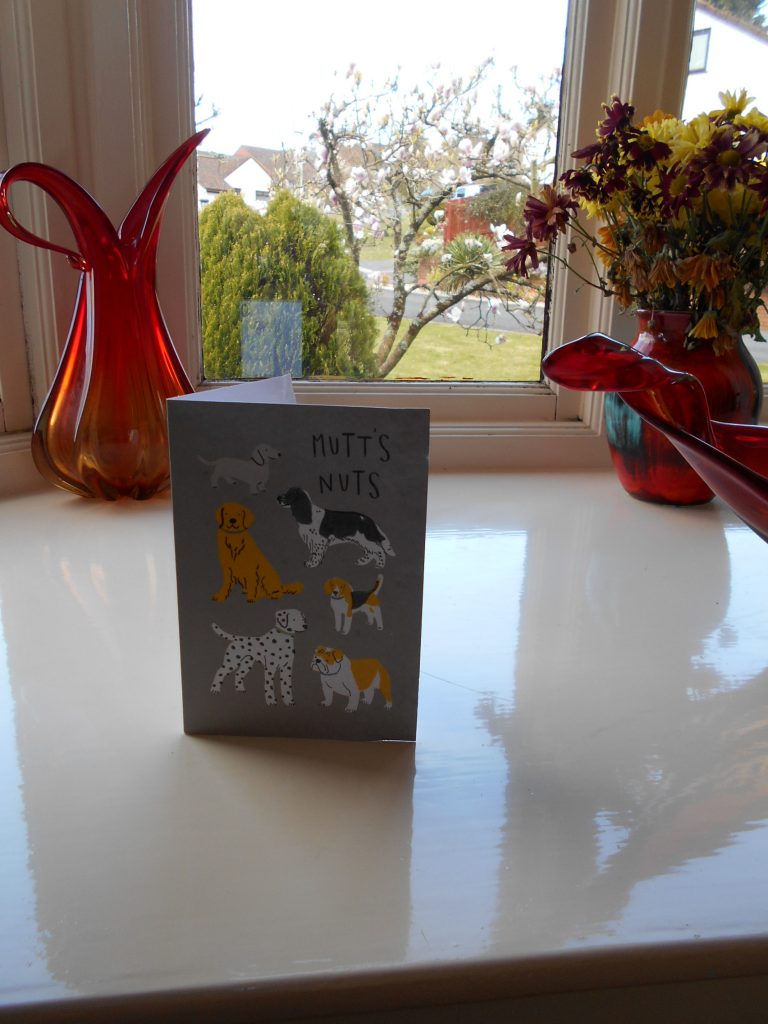 Clumberdoodle Archie's 3rd birthday card