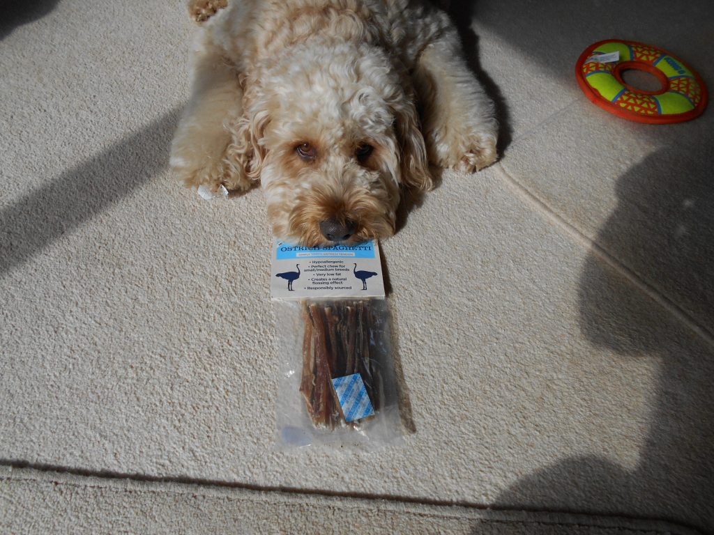 Clumberdoodle Archie's Ostrich Spaghetti Treats