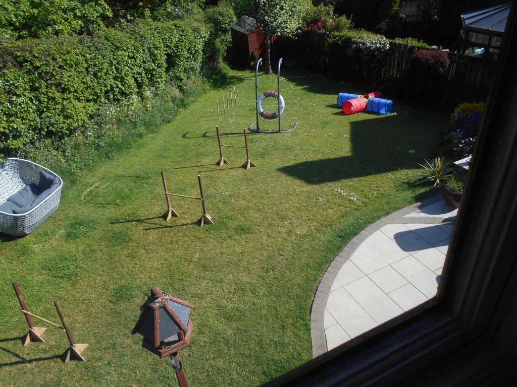 Archie's Homemade Agility Course