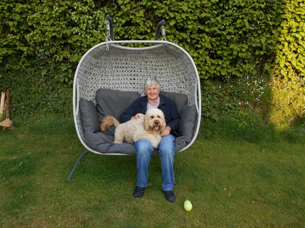  Archie the Clumberdoodle on swinging garden seat