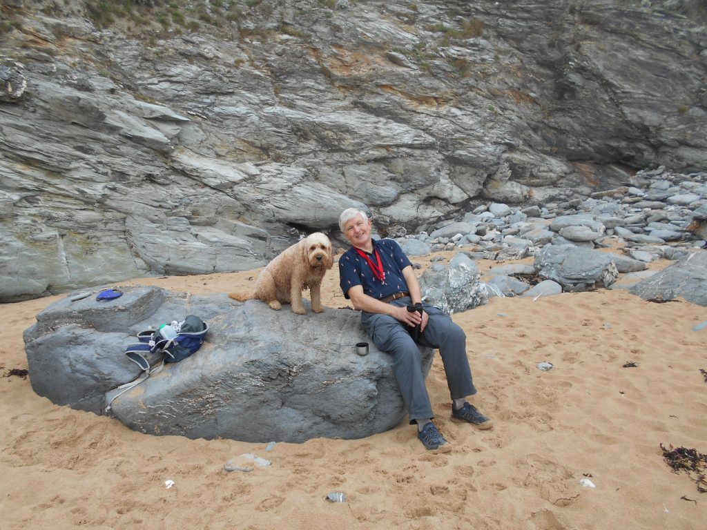Clumberdoodle Archie rock climbing at Watergate Bay