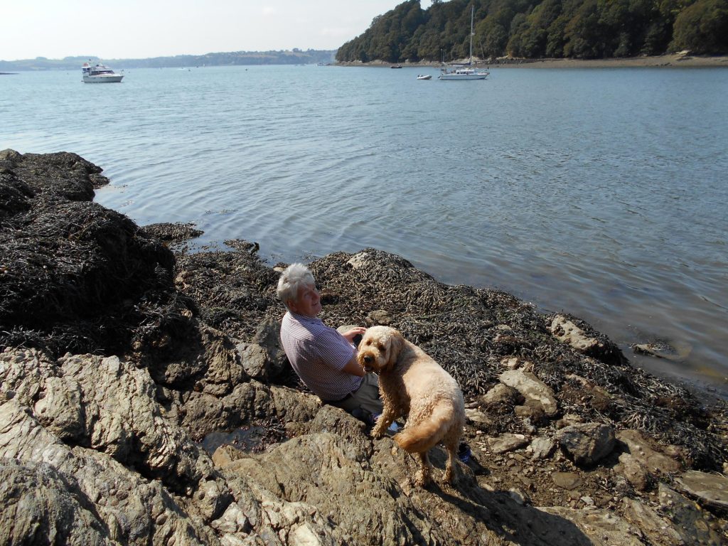 Banks of River Fal Cornwall