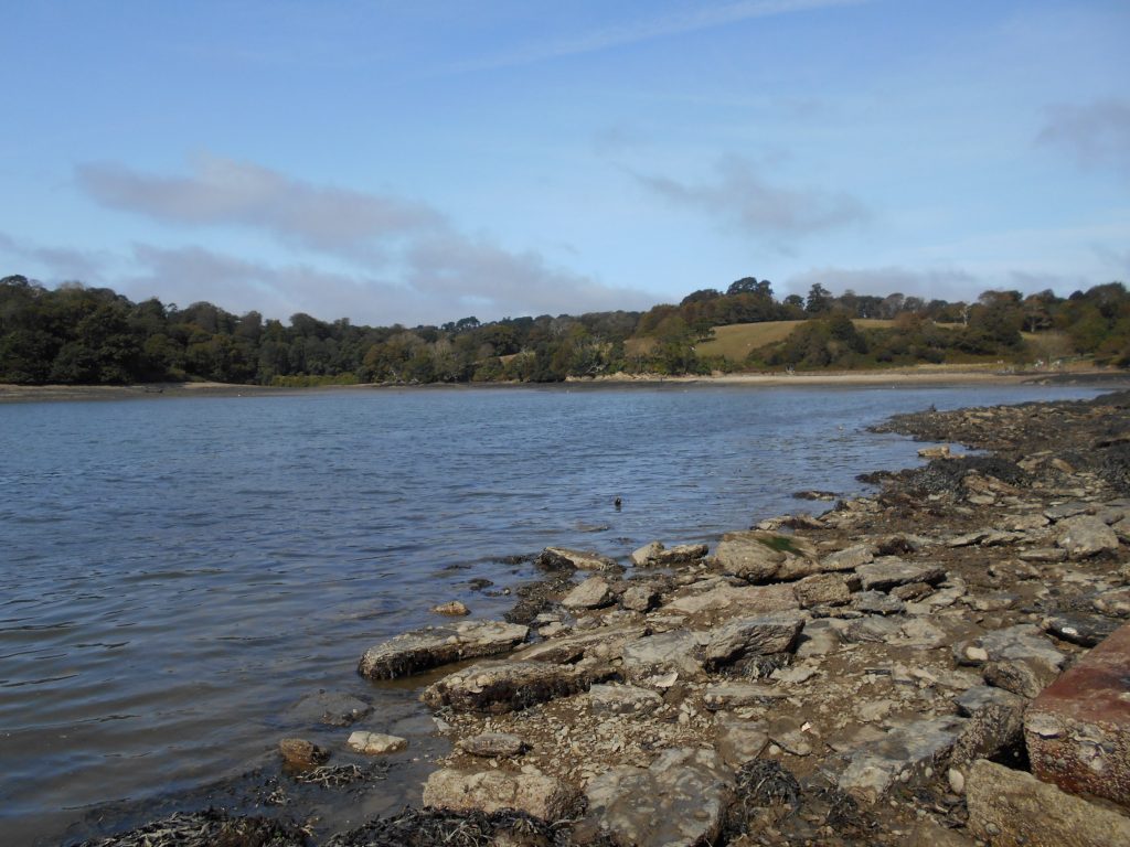 River Fal looking back to Trelissick Gardens