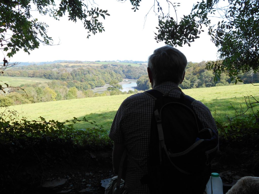 Walk around Trellisick grounds overlooking esturay