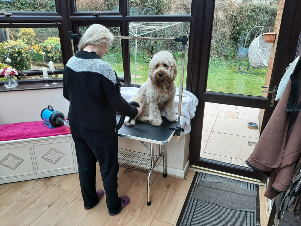Why I Bought A Pawhut Dog Grooming Table