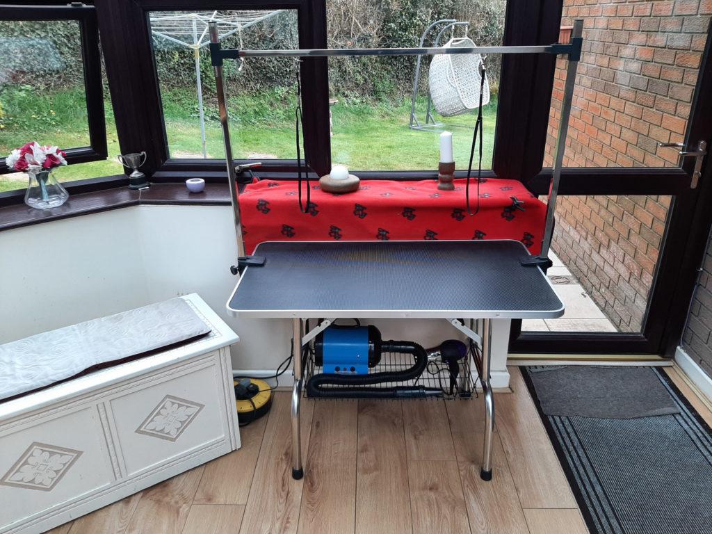 Why I Bought A Pawhut Dog Grooming Table